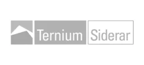 Ternium Siderar